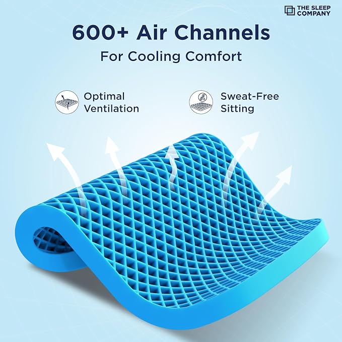 Egg Sitter Support Cushion